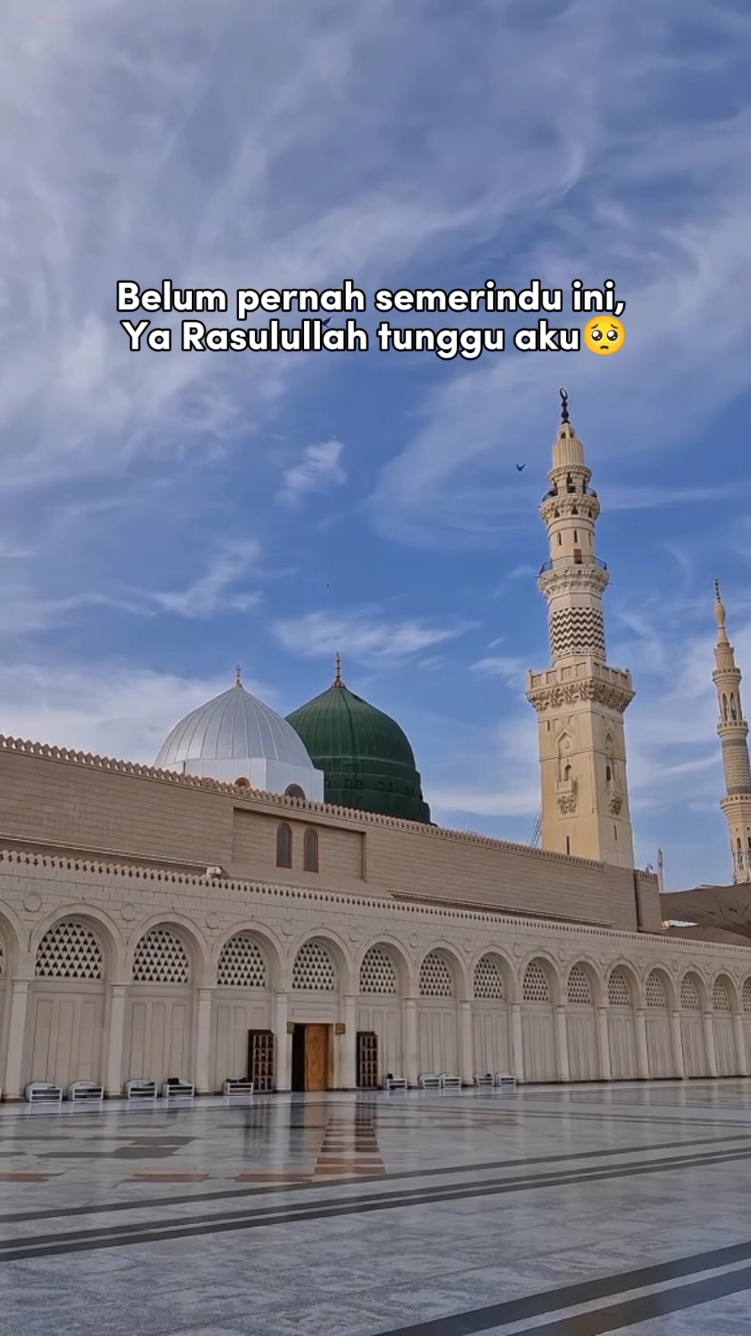 Allahumma Shalli 'alaa sayyidina muhammad wa 'alaa aali sayyidina muhammad, semoga kita bisa punya kesempatan berkunjung ke makam nabi🤲🏻 #raudhah #makamnabi #tamansurga #masjidnabawi  #madinahalmunawaroh #umrah #foryoupage 