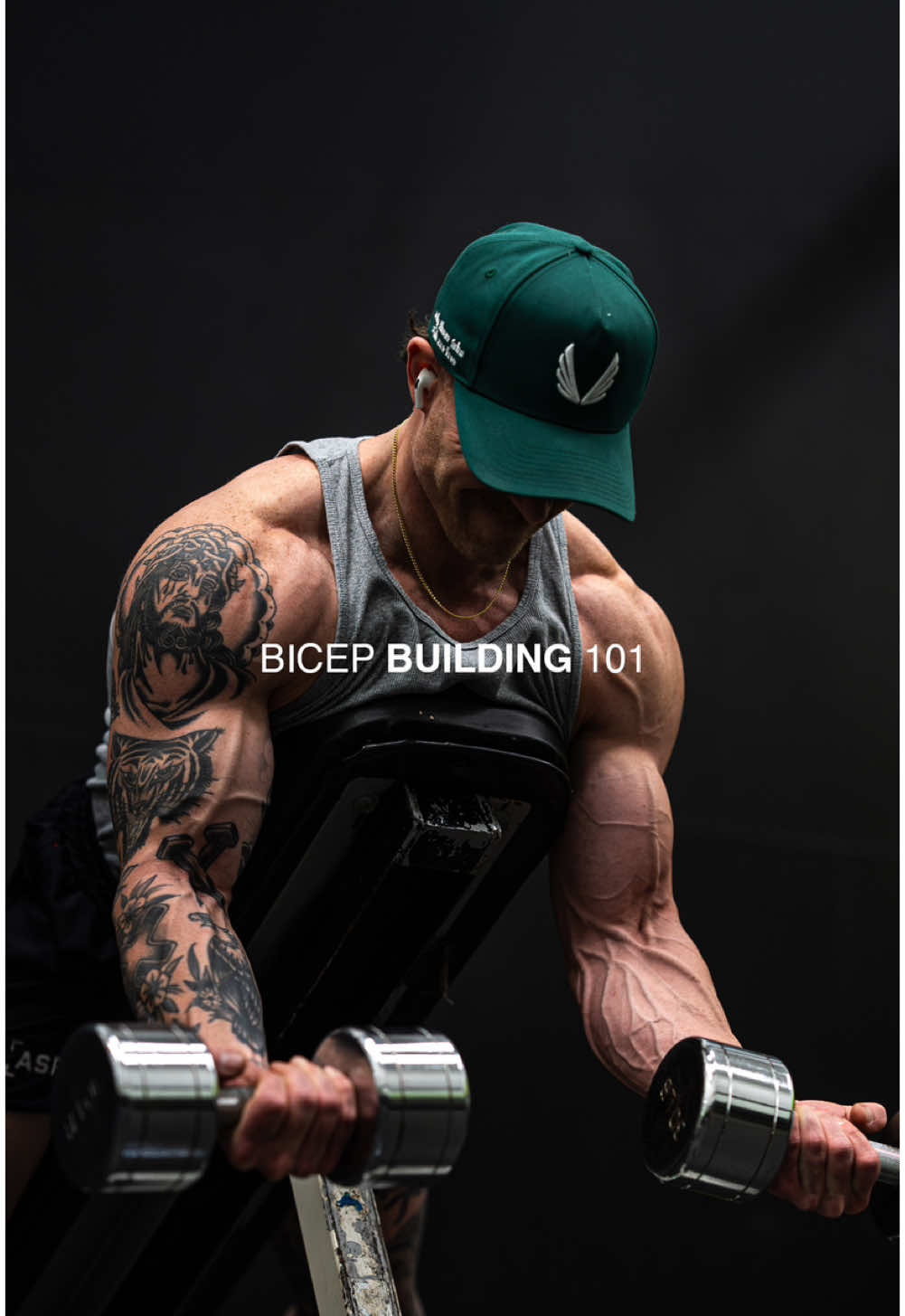 BICEP Building 101 📝 fr33 week of workouts in b!0 #bicepstraining #biceps #hypertrophytraining #bodybuildingtips  If you’re trying to build some bigger biceps, this is how I would go about structuring your bicep training. 1️⃣ Mid Position Curl  ➖Dumbbell or Barbell Curl (seated or standing) ➖Cable Curl ➖Alternating Supinated Dumbbell Curl These will target both the long and short head of your biceps in the mid position (and this is where your biceps have the most leverage)  2️⃣ Short Position Curl  ➖Bilateral Preacher Curl (machine, dumbbell, barbell)  ➖Spider Curl ➖High Cable Curl ➖ Unilateral Preacher Curl  These will target both the long and short head of your biceps a more shortened position 3️⃣ Hammer Curl ➖Dumbbell Hammer Curl  ➖Cable Hammer Curl  ➖Rope Hammer Curl These will bias your brachialis 4️⃣ Head Specific Work (for advanced trainees trying to bring up weak points)    🅰️ Short Head Bias  ➖Concentration Curl ➖Internally Rotated Cable Curl ➖Hanging Cheat Curl 🅱️ Long Head Bias ➖Incline Curl  ➖Bayesian Curl  And that’s it. Combine 2-3 movements per session and train close to failure with intensity. Pair that with a caloric surplus and you are on your way to building bigger biceps. fits ➖ @asrv supps ➖ @myprotein code PERKFITT for 40%off