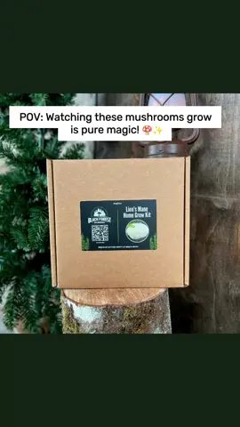 🌟 Grow Your Own Mystical Fungi! 🍄✨ Transform your kitchen into a mini mushroom farm with our Lion's Mane Countertop Grow Kit! 🦁🍽 Watch this stunning, snow-white beauty grow before your eyes—perfect for culinary adventurers and nature lovers alike. 🎥 Ready to harvest your own gourmet mushrooms? Comment below and tag a friend who needs this in their life! 🌱👇 #LionsMane #MushroomGrowKit #FungiAdventures #HomegrownGourmet #FungiToFork #BlackForestMushrooms