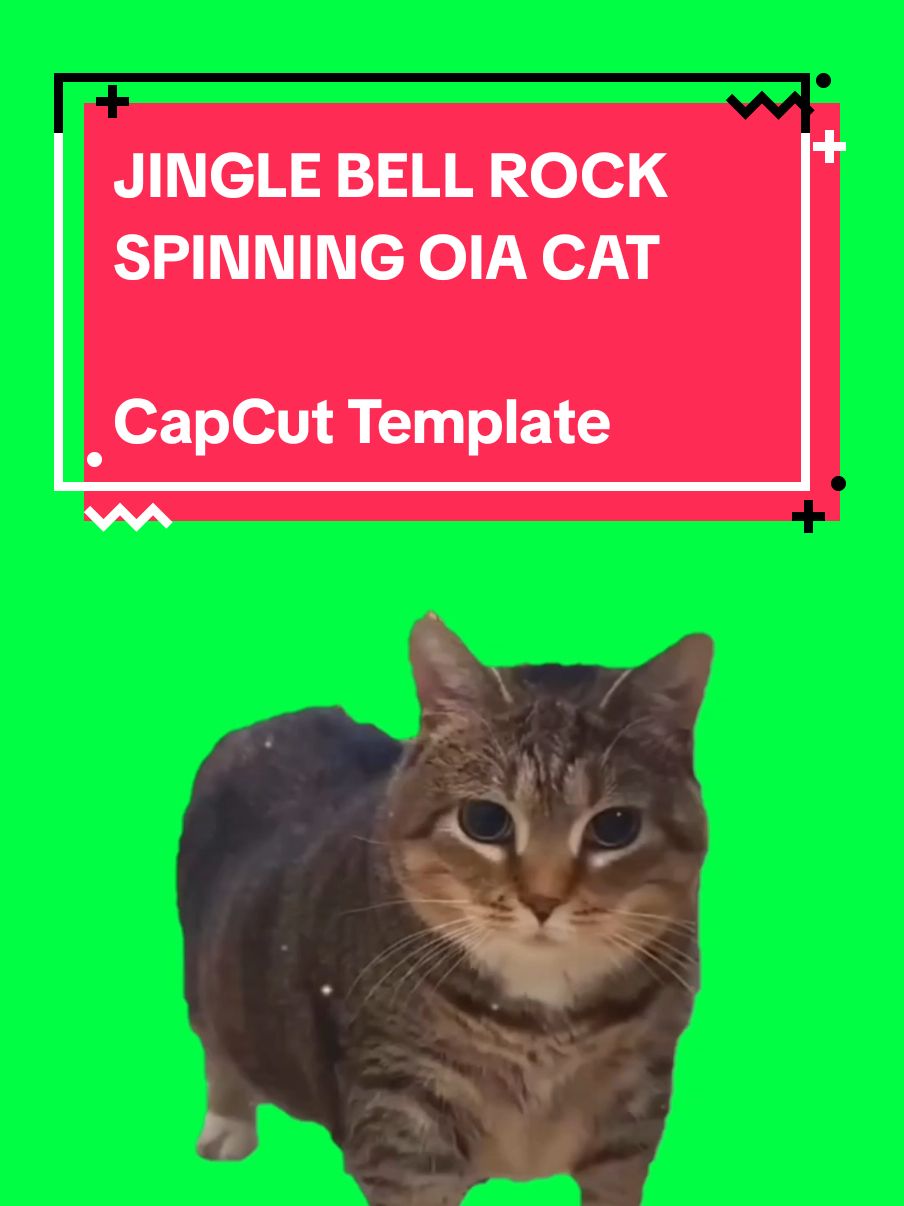 #Meme #MemeCut #feliznavidad #CapCut #oiacat #oiiaoiiacat #spinningcat #catmeme #cattok #brainrot 