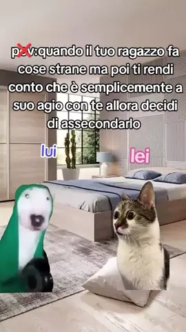 tutto nella norma vero?! 🥰#Meme #relazioni #amore #Love #virale #tiktok #coppia #neiperteee 