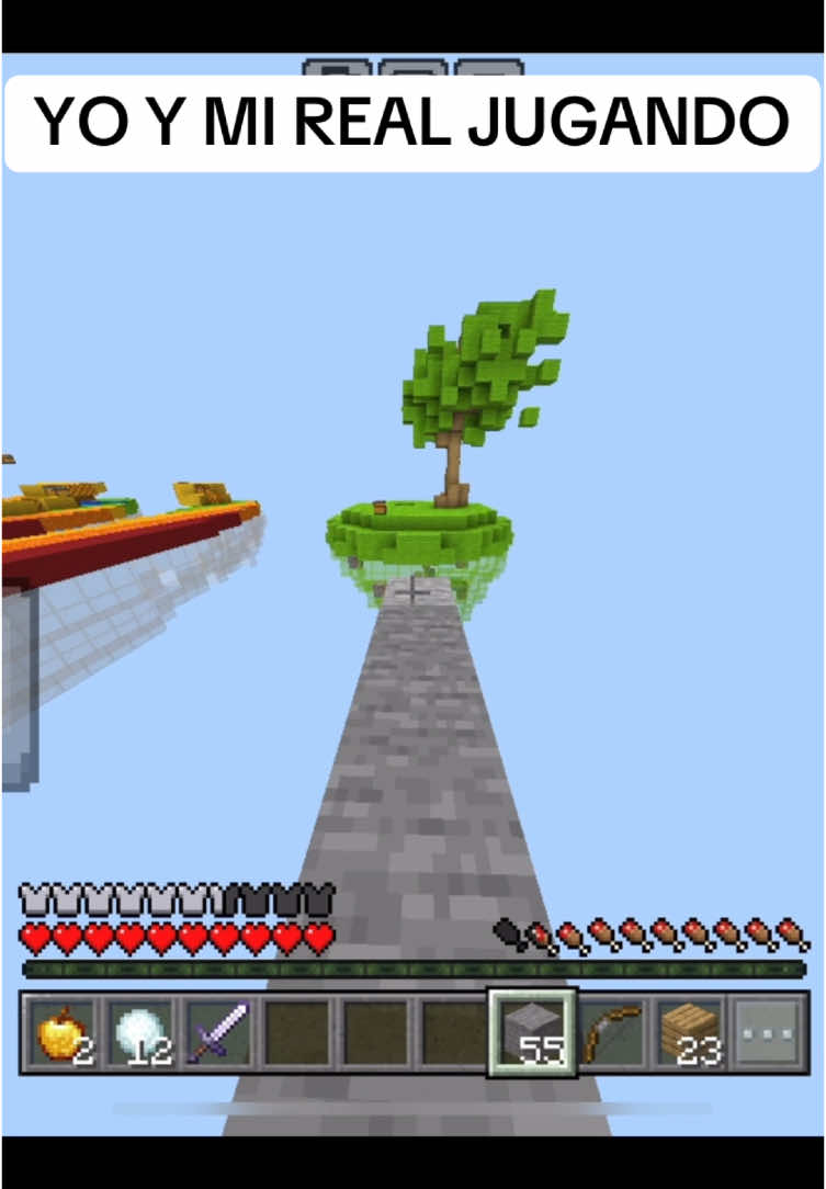 YO Y MI REAL JUGANDO SOMOS ASI…  #entretenimiento #juegos #chamos #Minecraft #mine #mojang #skywars #panas 