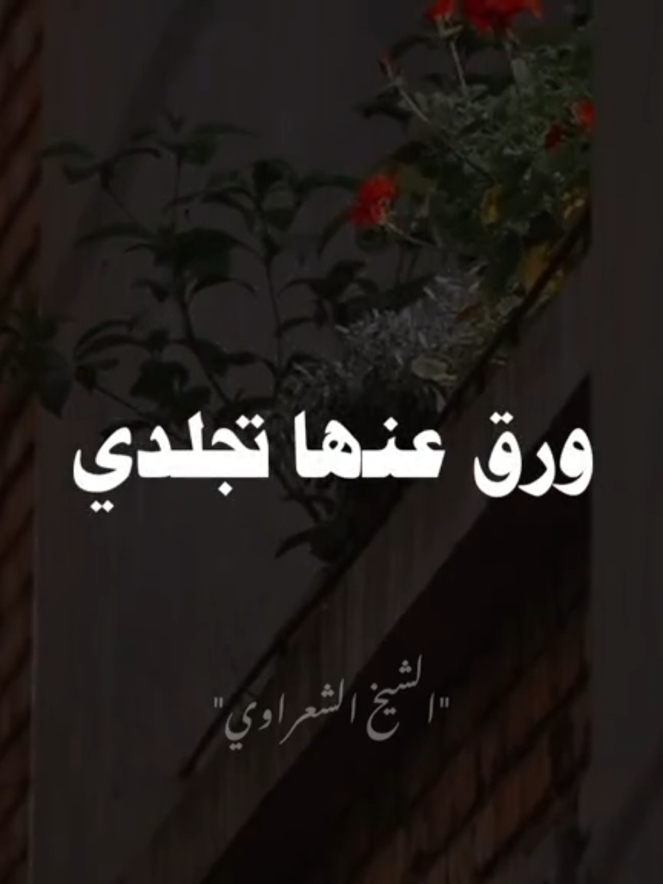 السلام عليك ياسيدي يارسول الله ❤ #صلي_علي_النبي #محمد_الشعراوي #الشيخ_الشعراوي #الشعراوي 