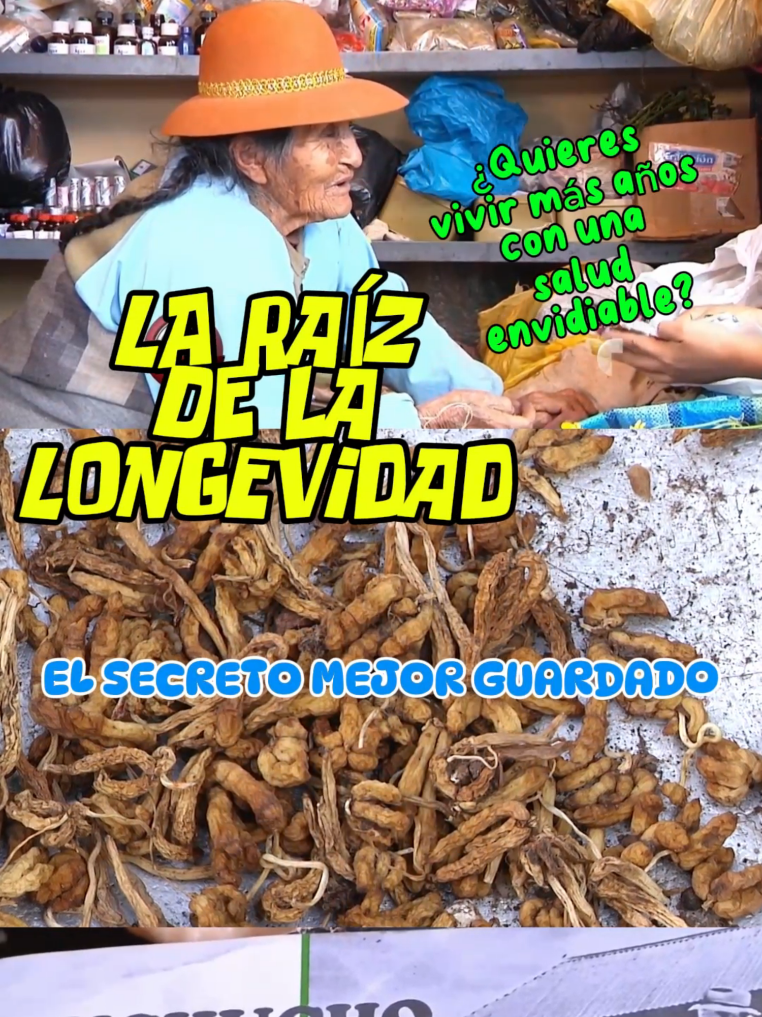 EL SECRETO MEJOR GUARDADO. En estos años de periodismo, hace algún tiempo realicé un reportaje sobre el cuchucho, diminuta raíz altiplánica que podría ser el alimento que brindaría larga vida. Gracias a este informe conocí a un ingeniero al que dedico este recuerdo, don Vidal Villagómez, de la Universidad Agraria La Molina. Un capo. Un estudioso que nos dejó, en el plano terrenal, pero que avanzó los estudios de este tubérculo sorprendente.  #longevidad #vejez #vejezfeliz #universidadagraria #perupe #agraria #tuberculo #cuchucho #estudios #ingeniero #fyp #fypeee  @universidadlamolina @agraria_lamolina