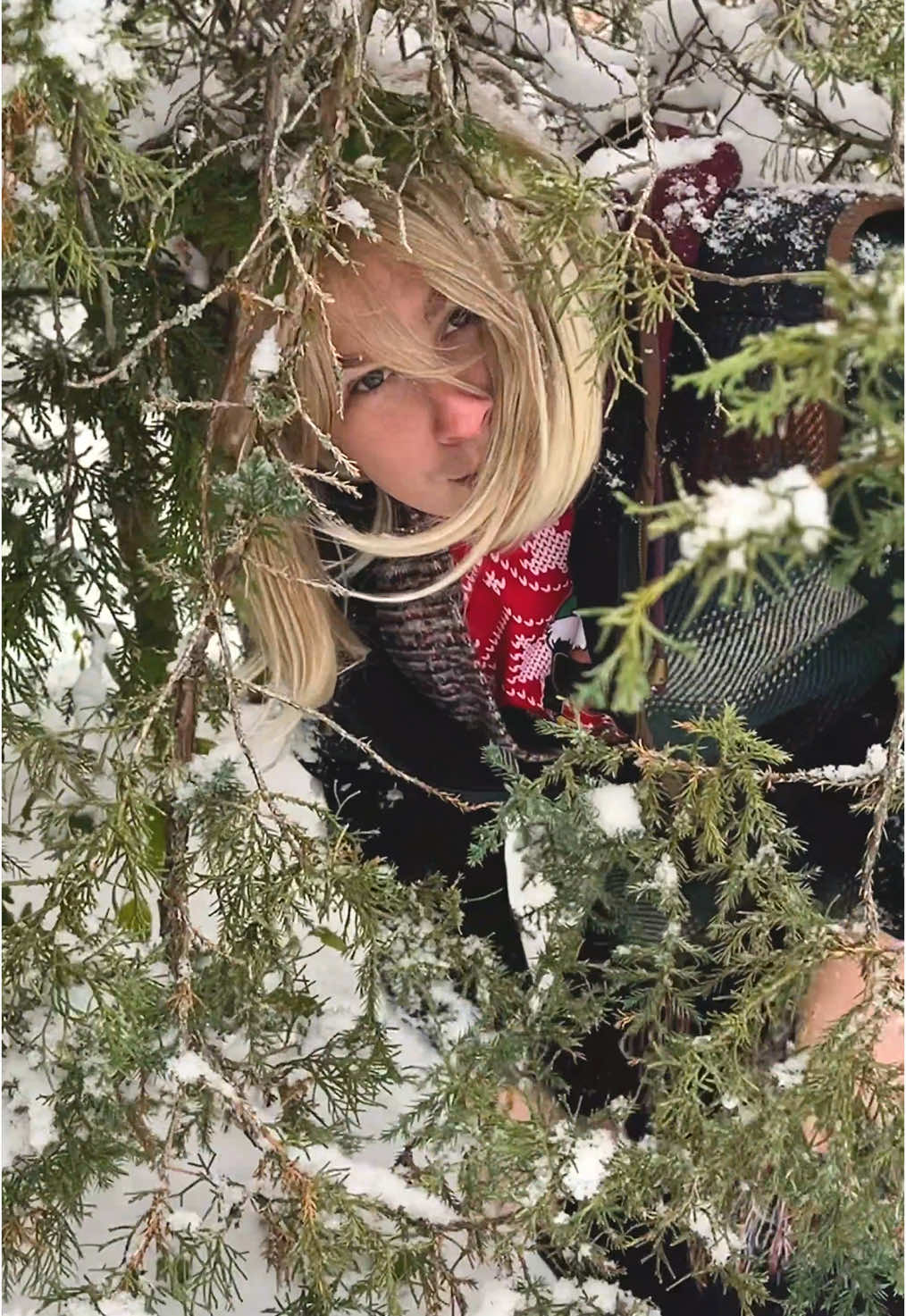 Martha Stewart teaches you how to pick out the perfectly perfect Christmas tree 🎄#fyp #marthastewart #christmas #christmastree #comedy 