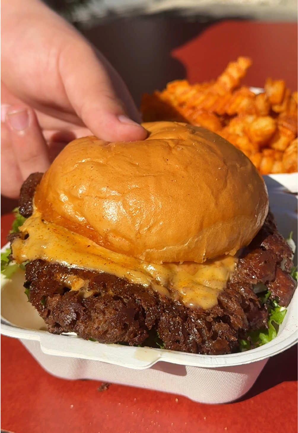 Together, they’re irresistible 🤤 .  .  .  #tiktokfood #orlando #lunch #smashburger 