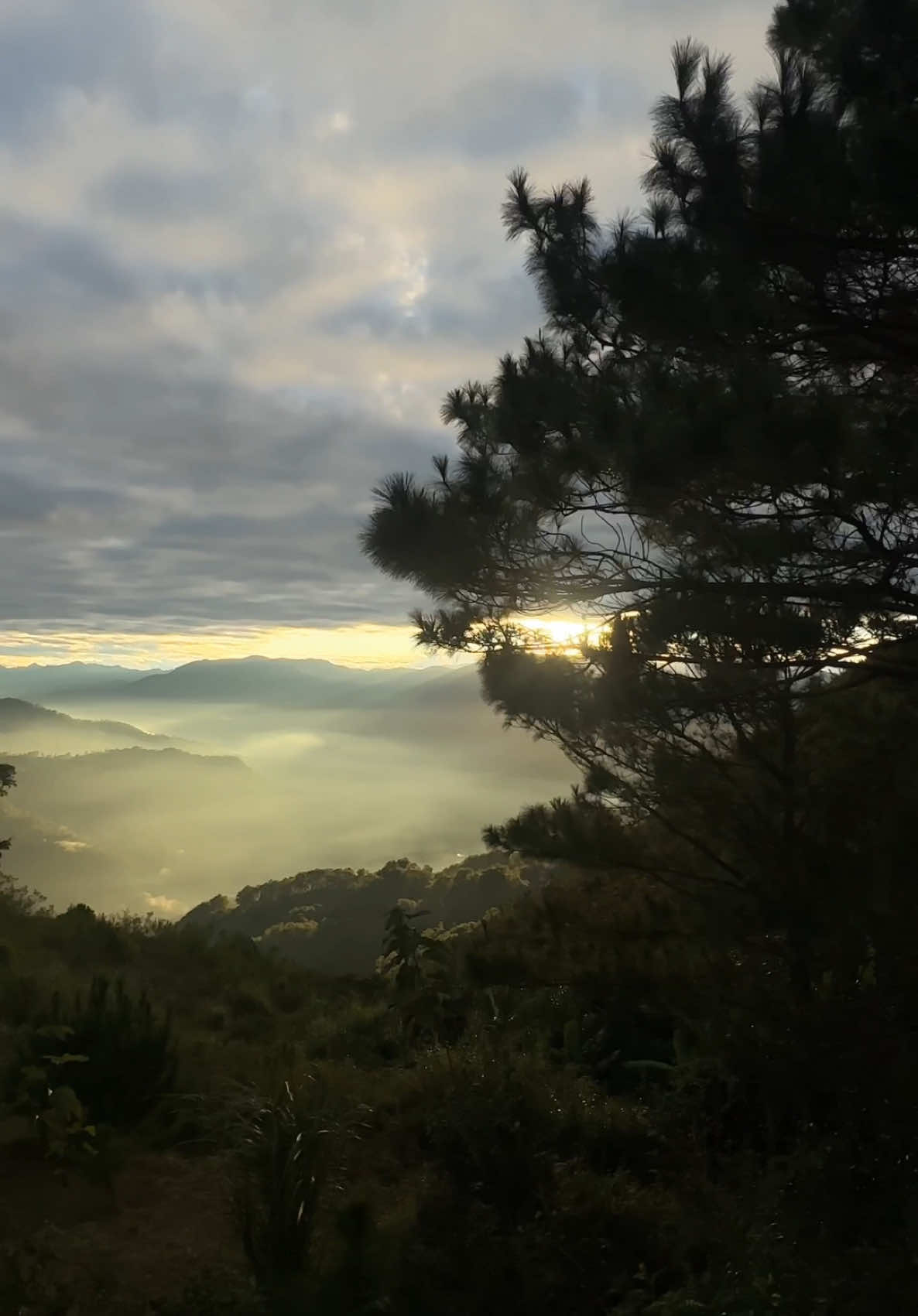 Hiking trails, conquering peaks, wandering through the clouds and finding myself in Sagada. #sagadaadventure #beautyofnature #seaofclouds #hikingadventures 