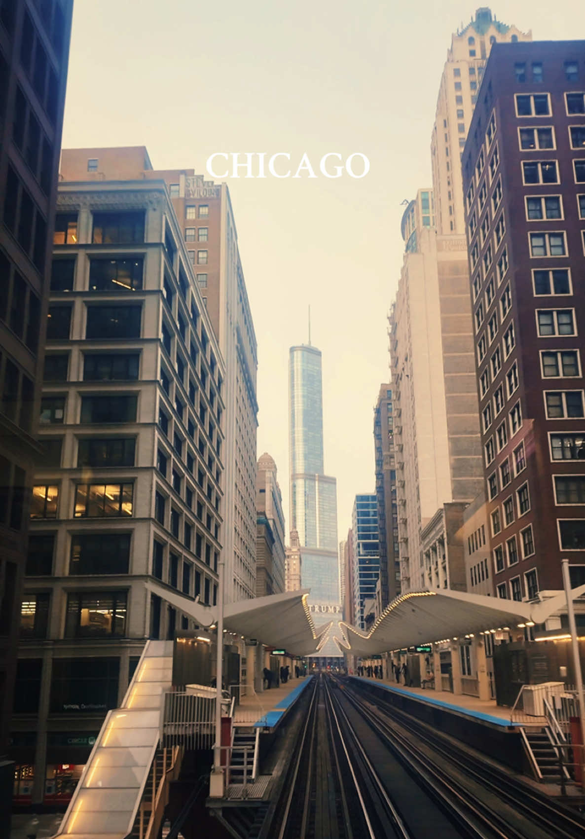 On the Train in the City 🚇🏙️ #chicago #train 