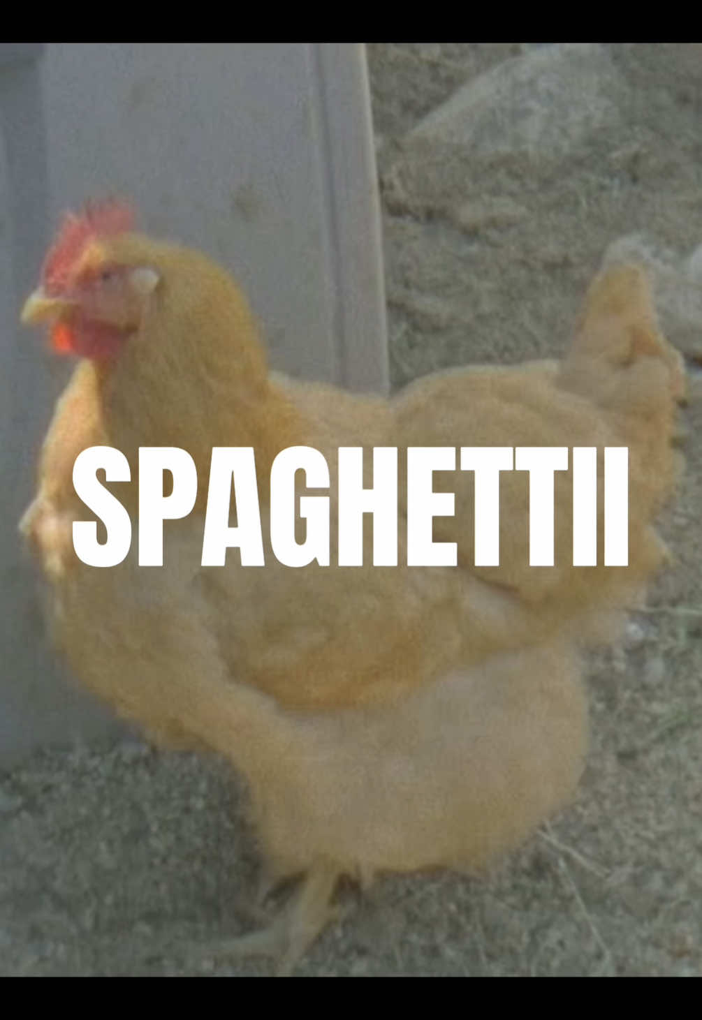 SPAGHETTII - Beyoncé feat. Linda Martell & Shaboozey #fyp #beyonce #beyhive #foryou 