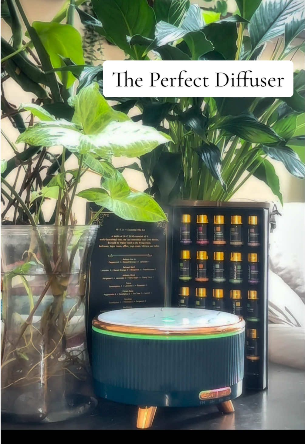 This diffuser just adds to the zenful decor of my home. I love using my essential oils to fill it with a calming aroma and if you want to grab it too, i linked it below! @bubpup #aromatherapy #essentialoils #diffuser #humidifier #holidayhaul #tiktokmademebuyit #zendecor #nightlight #TikTokShop #US 