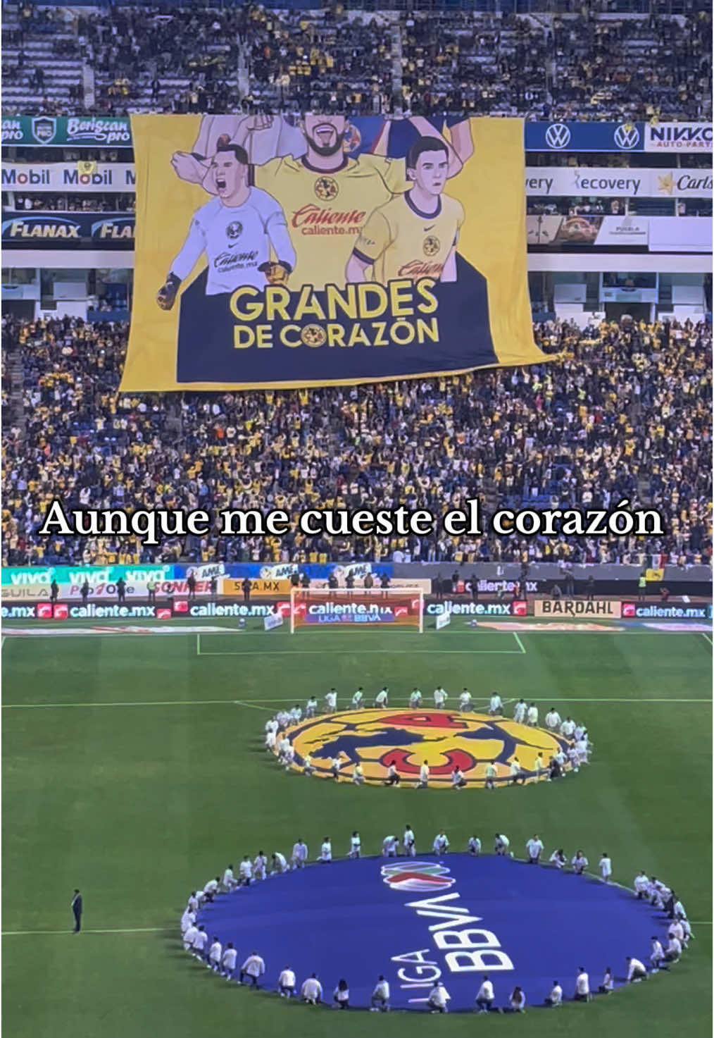 🦅💛✨#paratiii #aguilasdelamerica #clubamerica #monumental #azulcremadecorazon 