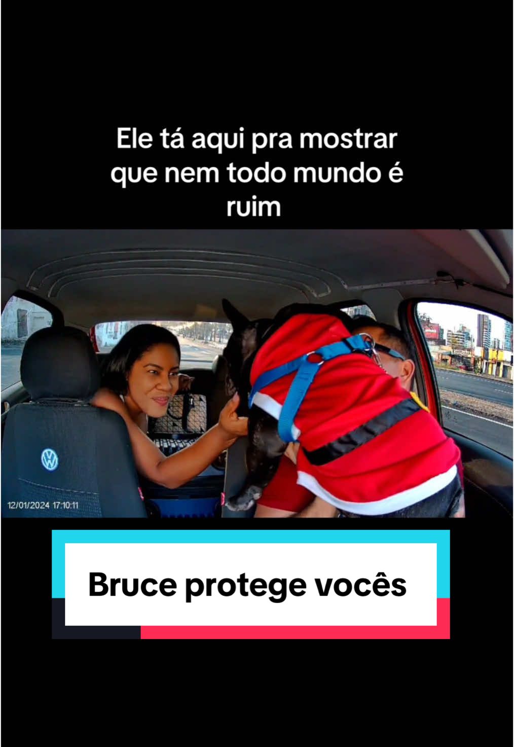 Bruce protege vocês não se preocupem 😌 . . . #na #tiktok #f #natal #petlover #tiktokpet #meme #Minecraft #fypdong #fyp #2024 #cachorro #funny #viraltiktok #foryoupage❤️❤️ #pets #likeforlikе #fypp 