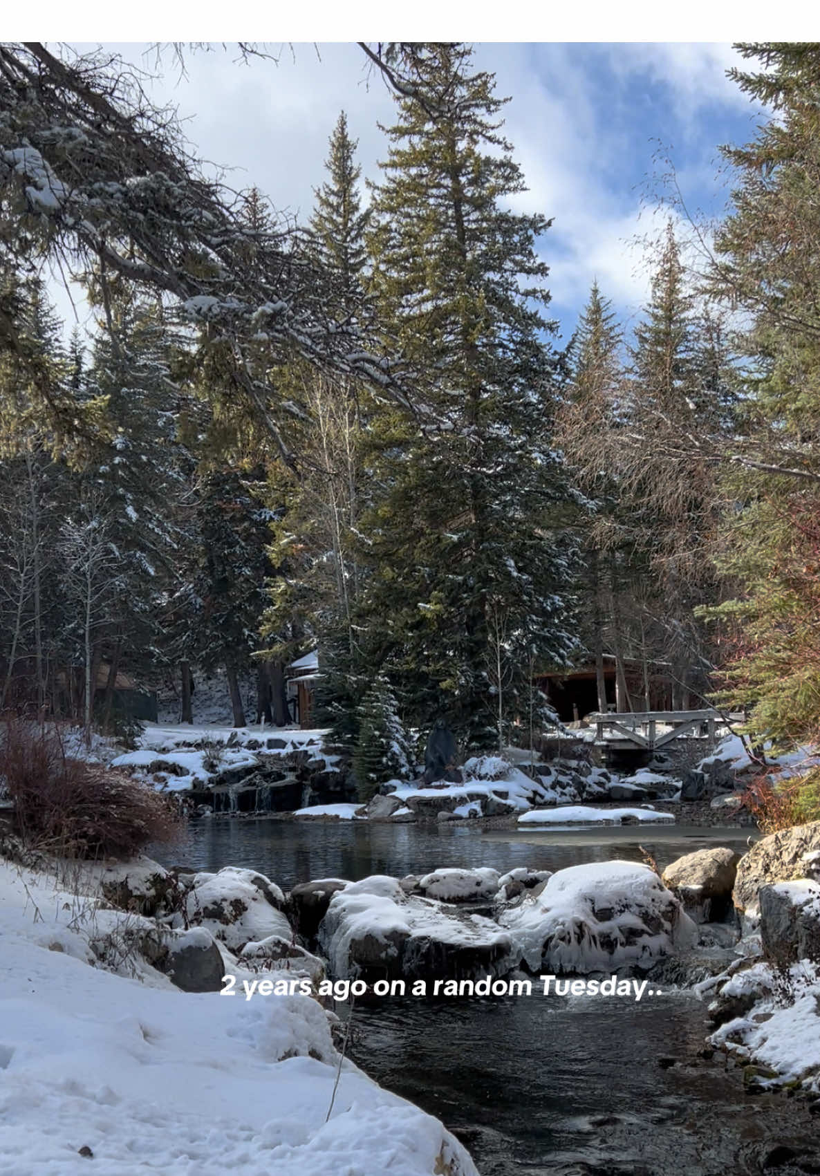 Magical..🌲🕊️ so so grateful I got to experience this with my bestie! #utah #december #creatorsearchinsights #fyp #holiday #sundanceutah #sundance 