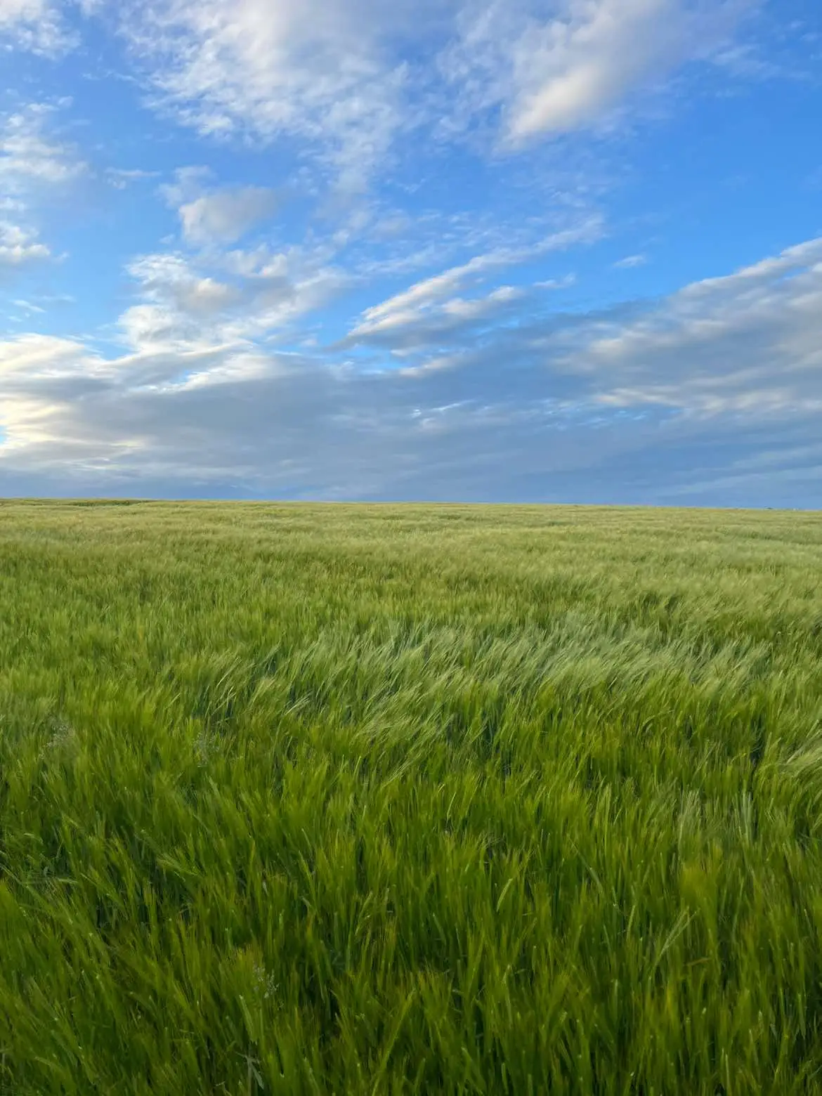 Clean slate #sunset #countryside #nature #isolation 