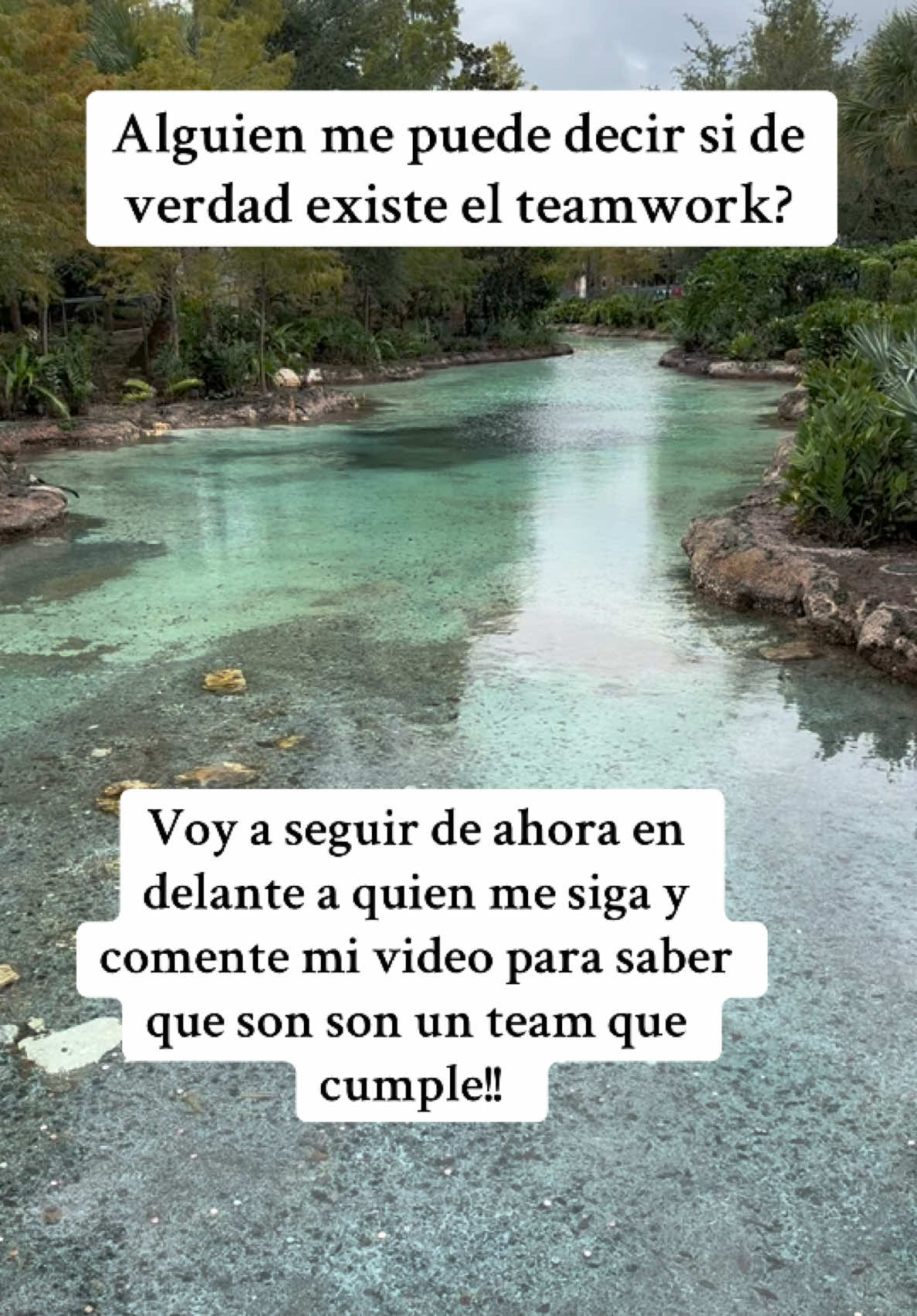 #teamworkmakesthedreamwork #TEAMWORK #fypシ゚viral #fyp #paratii 