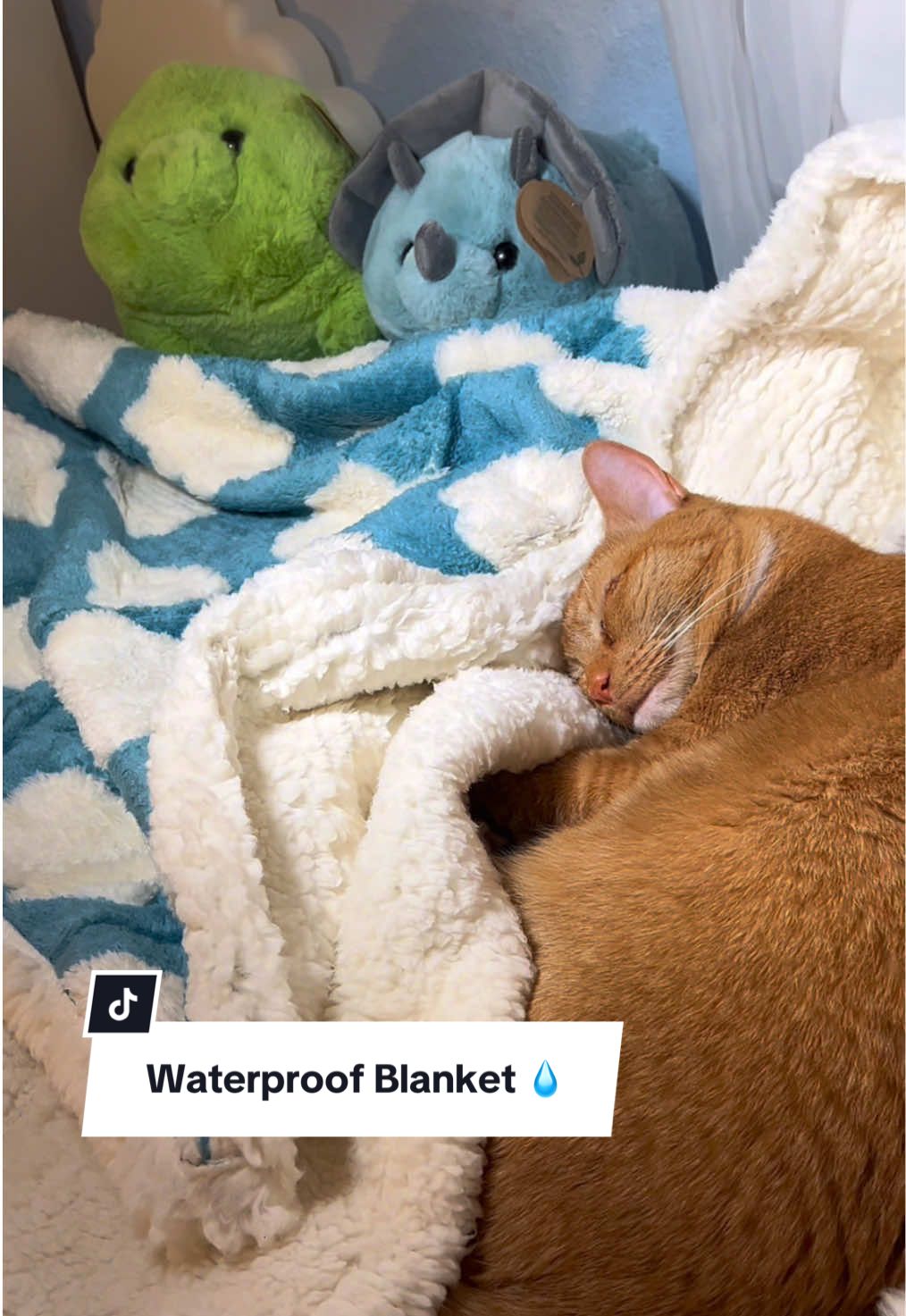 Your pet will love this blanket 🤩 | @Lesure Pet #Lesure #Lesuredogblanket #Lesurewaterproofblanket #dogsoftiktok #catsoftiktok #tiktokshopblackfriday #tiktokshopcybermonday #tiktokshopholidaydeals #BFCM #BlackFriday2024 #blackfriday #christmas #christamasday #christmastree #christmasgift #bestpetfinds