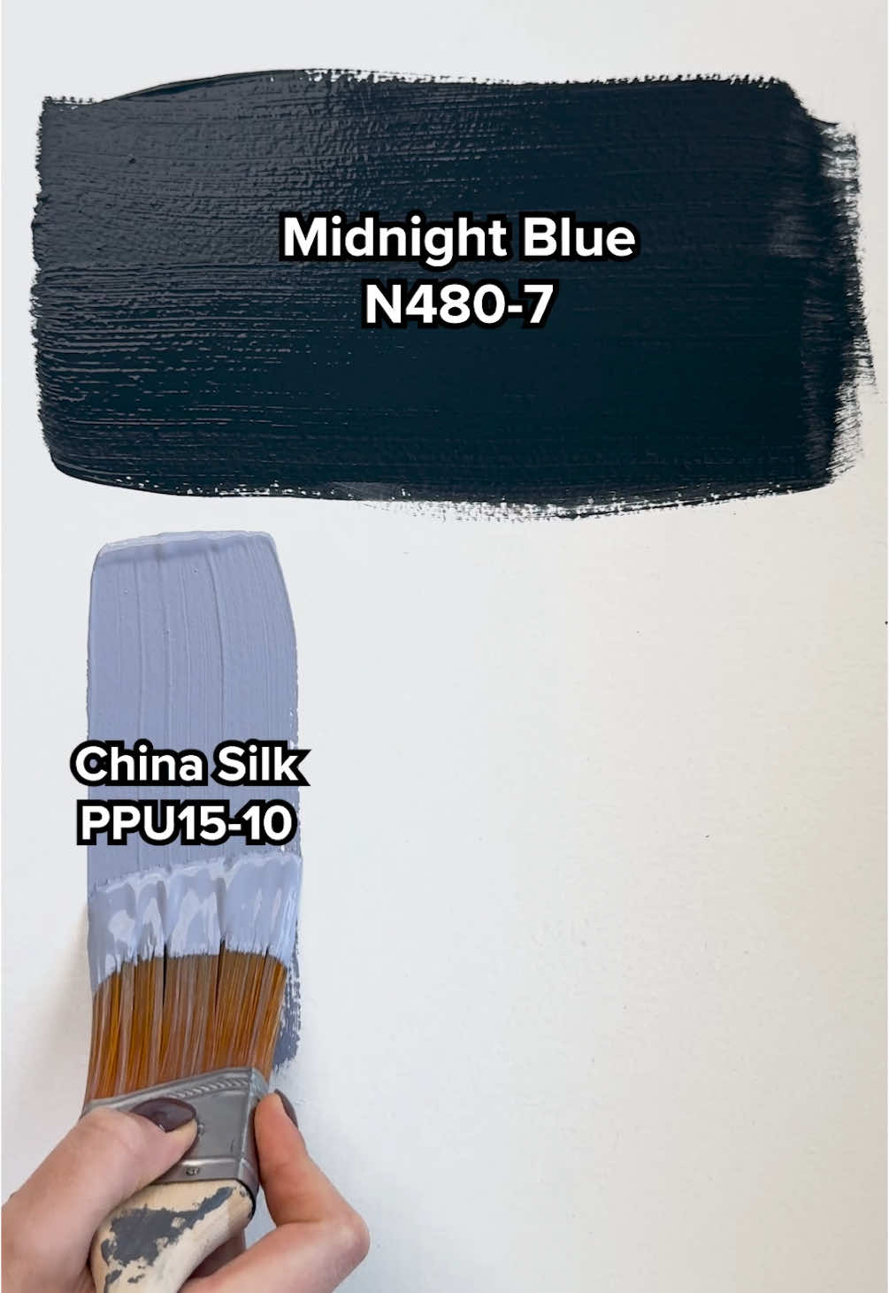 Which color are you pairing with Midnight Blue? #BEHR #TodayLetsPaint