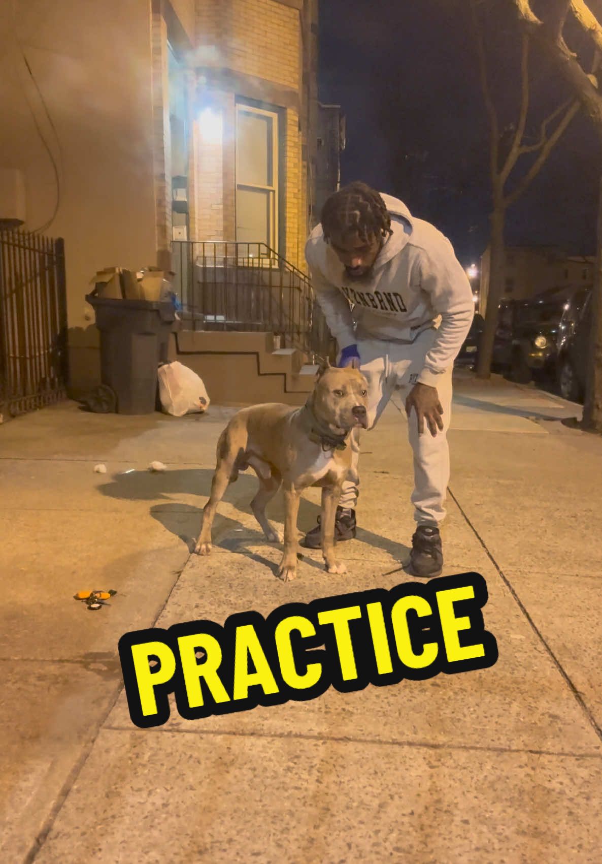 & im still jus gettin started gimmie another year  #merlebully #bluemerle #xl #xlbully #xlbullies #dogsoftiktok #pitbull #pitbulls #pit #pitpuppy #pitbullpuppy #pitbullsofficial #dogdad #doglover #doglove #cutepuppy #dogtok #puppytraining #DogTraining #puppy #dog #foryourpage #viral #training #explore #trending #furbaby #dogsofinstagram #dogtok #dogtiktok #dogtrainingtips #dogtrainer #dogtips #puppylove #puppytiktok #puppydog #puppycheck #puppylife #puppytok #puppys #fy #fypage #fypシ゚viral #fyppppppppppppppppppppppp #fypp #fyp 