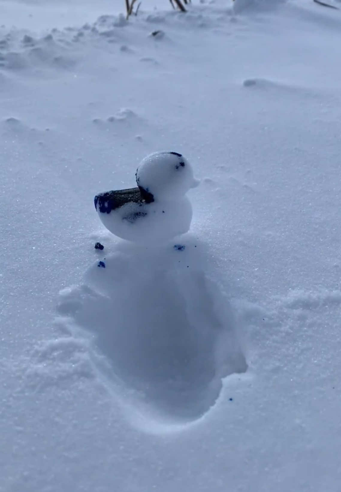 Satisfying Snow Duck ❄️ #snow #snowball #duck #snowduck #snowballduck #satisfying #oddlysatisfying #fyp #LaPuraCrema 