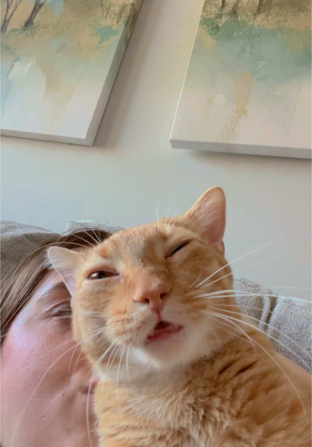 Reggie makes the best faces during his pets #cat #catsoftiktok 