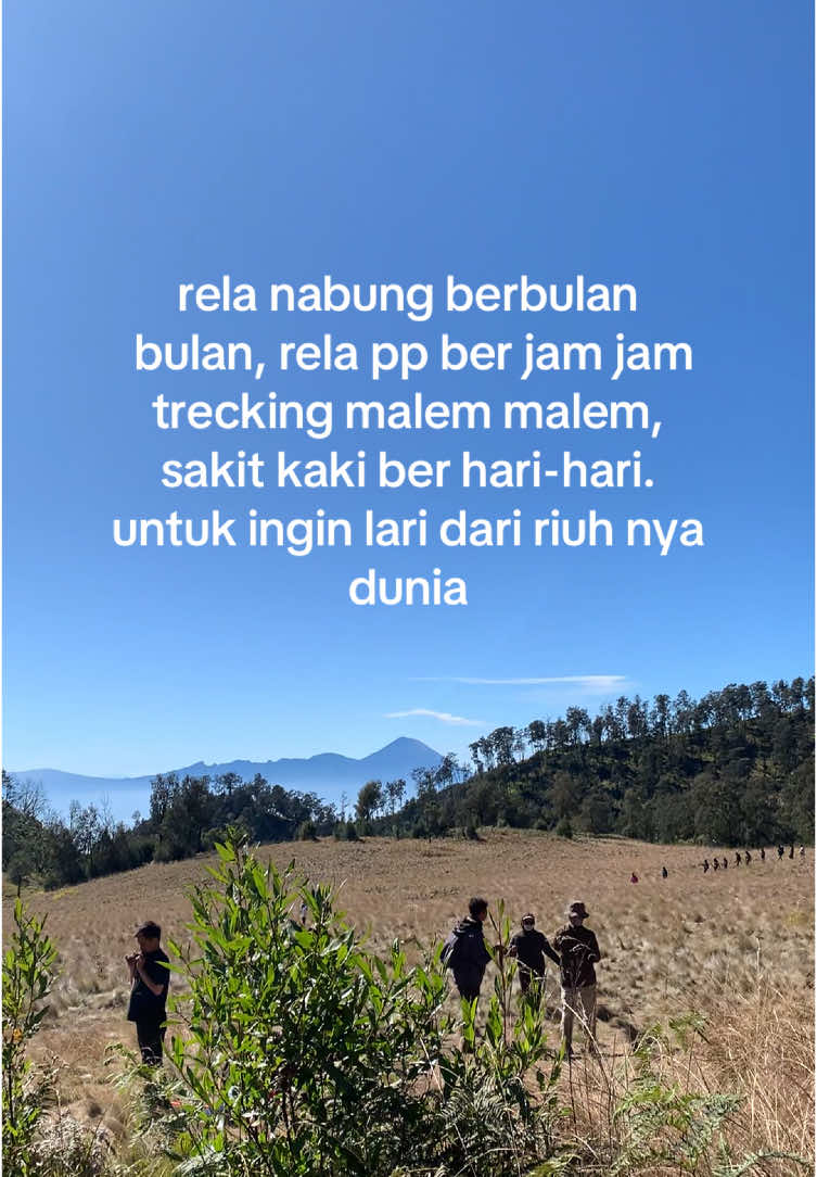 i like it #pendakifomo #pendakigunung #pendakiindonesia #pendaki #pendakigunungindonesia #pendakigalau #mtbuthak2868mdpl #buthak_2868_mpdl #buthak 