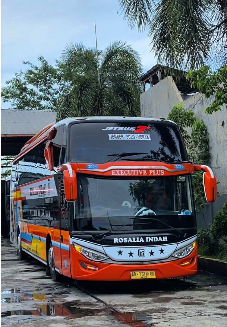 Wayahnya anak cantik nya pool jember tampil😍 #CapCut #rosaliaindah #rosaliaindahtransport #rosaliaindahmania #beranda #fypシ゚viral #fyp #fypシ #scania #scaniak360 #scaniak360ib #beautifulfairy3021 