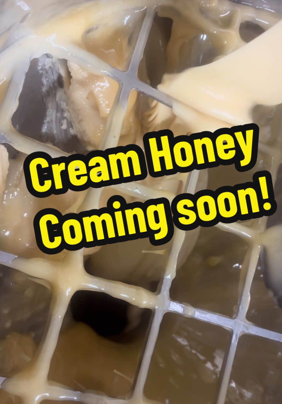 We’re so excited to announce we will be releasing something new the bees whipped up! Coming soon 2025!! #creamhoney