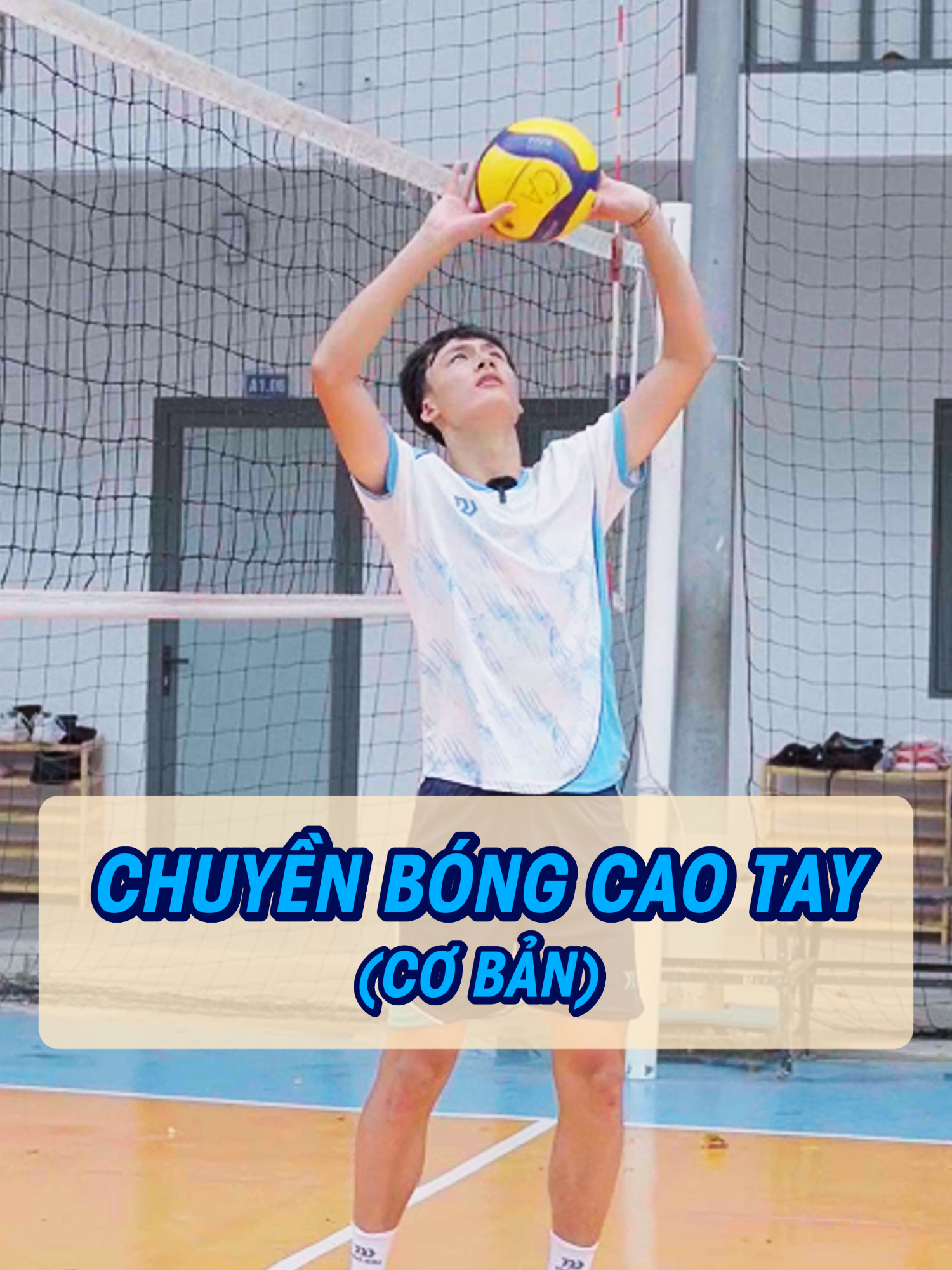 Chuyền bóng cao tay (cơ bản) #bulbalvolleyball #bongchuyen #bongchuyenvn #bulbalvn #volleyball