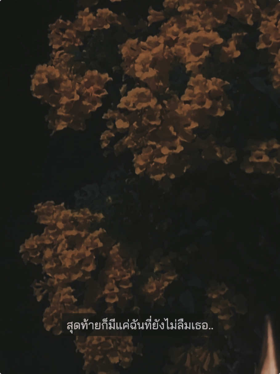 เคยคิดว่าลืมเธอได้ #thisisthebests #เธรดเพลง #เธรด #fyp 