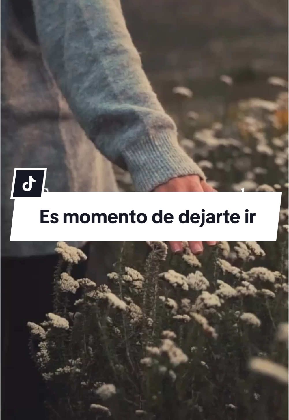 Es momento de dejarte ir ✨