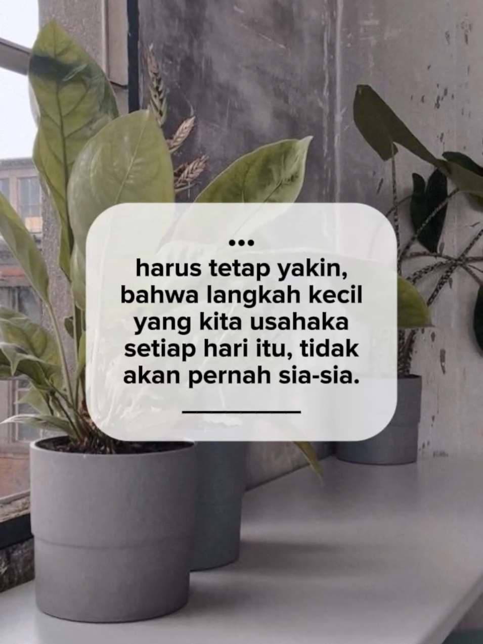 #CapCut #fyp #katakata #viral #bismillahfyp #qoutesstorywa #qoutes #katabijak #trend #katakatabijak #reminder #viraltiktok #trending #storytime #storywa #daily #semangat #padahariini #katakatamotivasi #foryou 