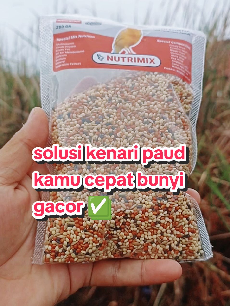 pakan kenari biar cepat gacor. mengandung oil metabolis #nutrimix #nutrimixkenari #pakankenari #pakankenarinutrimix #kenariseed #pakanburung #burungkenari #kenari #kenarimania #kenarimaniaindonesia #pakankenarijuara #pakankenarilomba #wibgajian #megaguncang1212 #promoguncang1212 #cuantanpabatas #gilagilajualan #kicaumania 