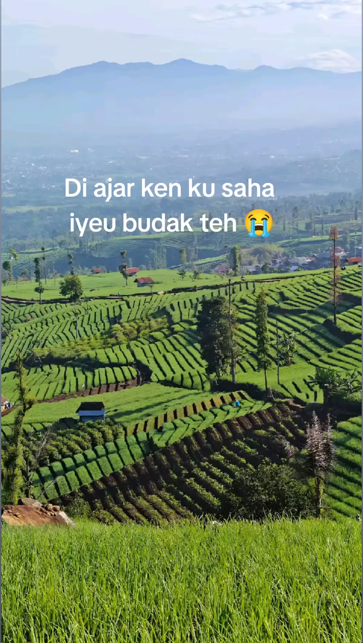 budak sha iyeu ni nyanyi 😭 #strorywa #masukberanda #katakatasunda #storysunda🍁 #foryupage #xyzbca #fypシ゚viral 