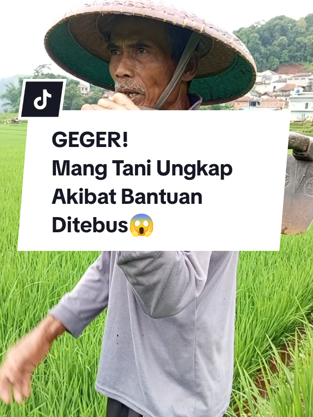 Mang Tani Ungkap Akibat bantuan harus ditebus😱 #bantuanpemerintah  #bantuanpertanian  #petanisunda  #petanikreatif  #petanikreatifsunda🌱🌱🌱  #mangtanismd 