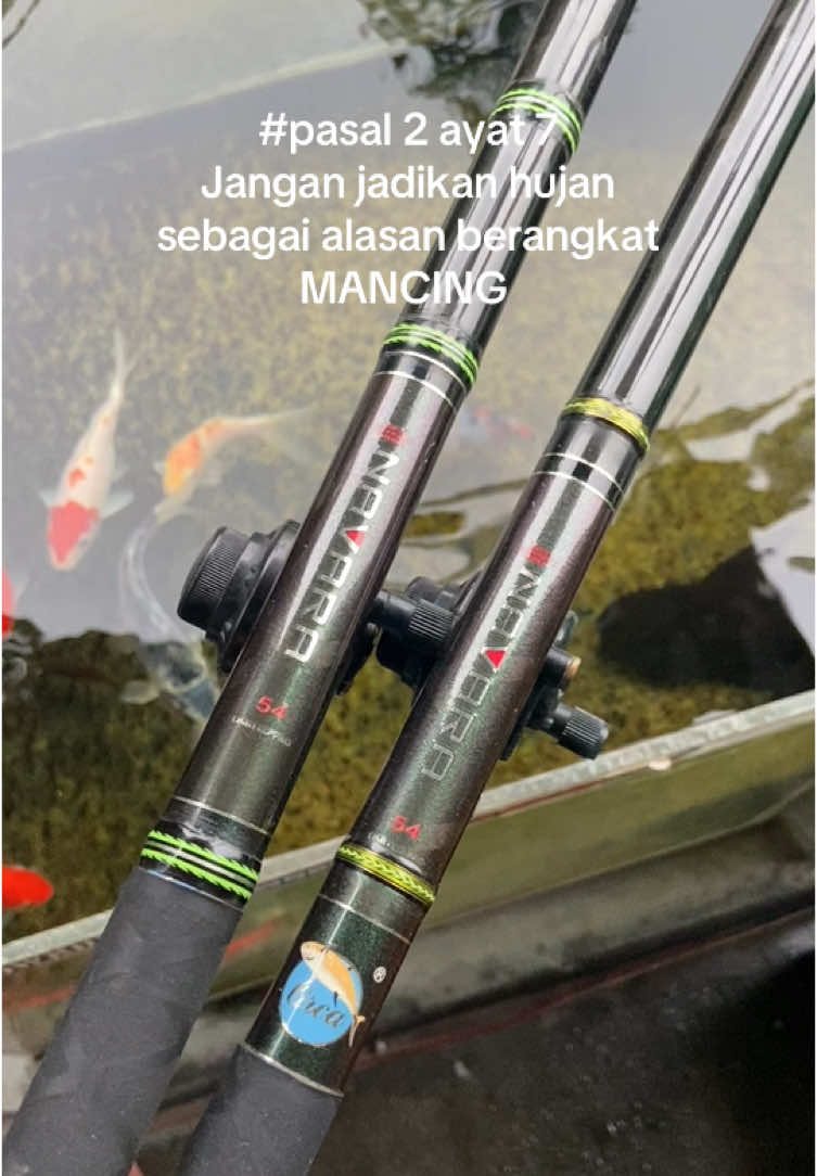 Tondo ⚡️⚡️ ning tegek i ngandani nek mancing pas udan genah HAUP #TikTokAwardsID #jelajahkuliner #xzybca #dagelanfishing #SiapaSangka #solo24jam #bolomancing🎣 