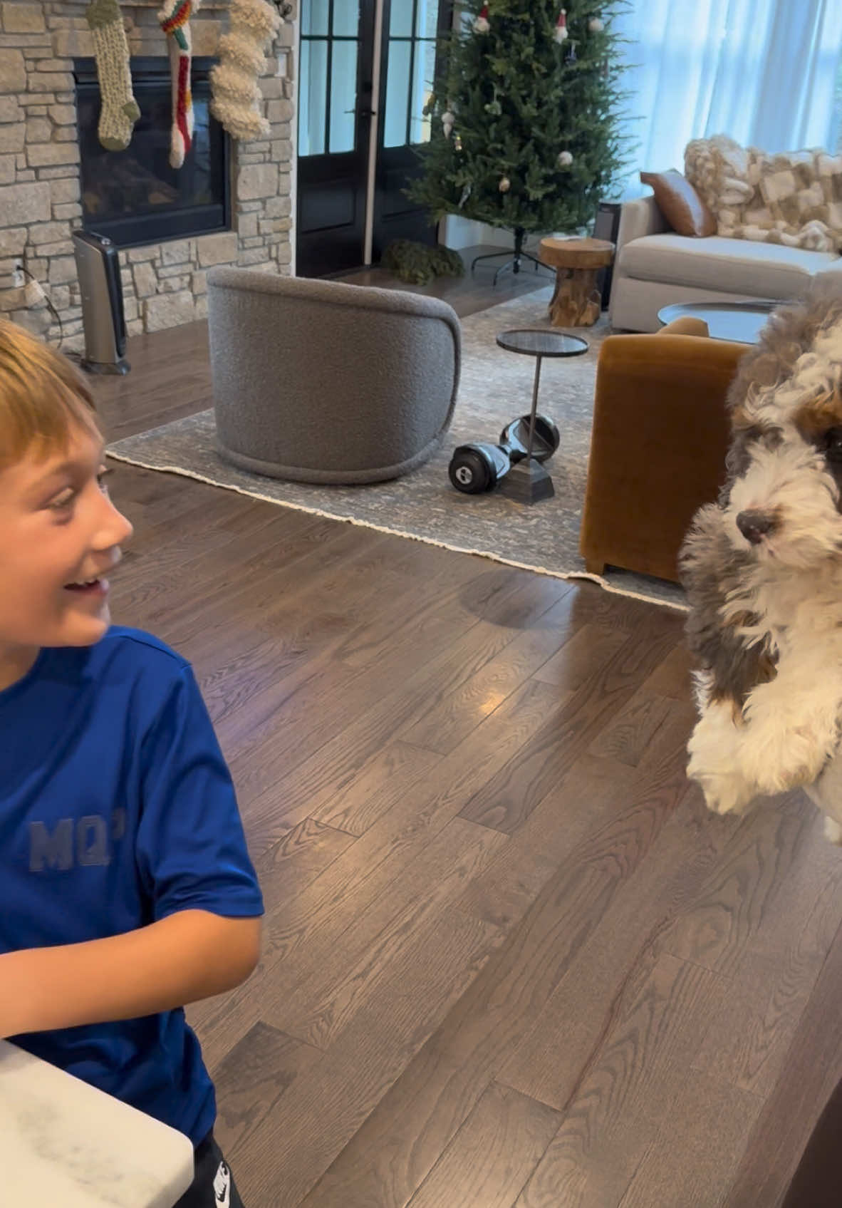 Surprising our only child with his dream puppy #dog #bernedoodle #dogsoftiktok #puppytiktok #puppy 