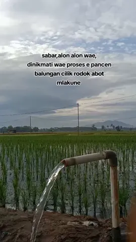 Alon Alon asal kelakon #fypシ゚viral #jawapride #soundviral 