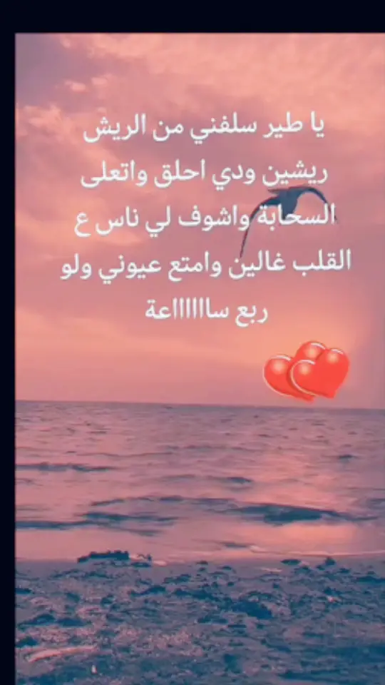 ر#🤍اكسلبورر🤍اكككسلبوررر🤍 