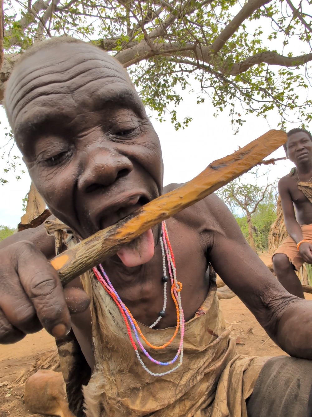 Wow Fantastic Lunch 😋 😍 😲That's incredible delicious food Hadza cooks for survival middle of Jungle #hadzabetribe #africatribes #villagelife #USA #tiktok 