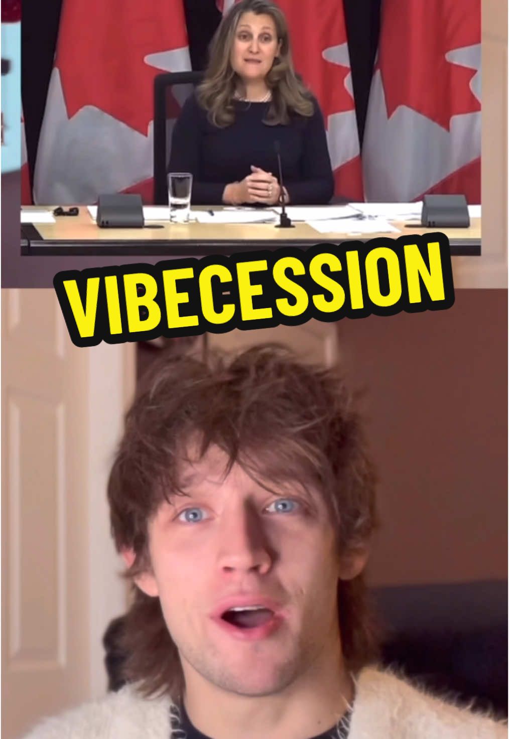 Bad vibes? Vibecession #cdnpoli #canpolitt #liberal #trudeau #vibecession 