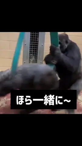 回る~回る~メリーゴーランド