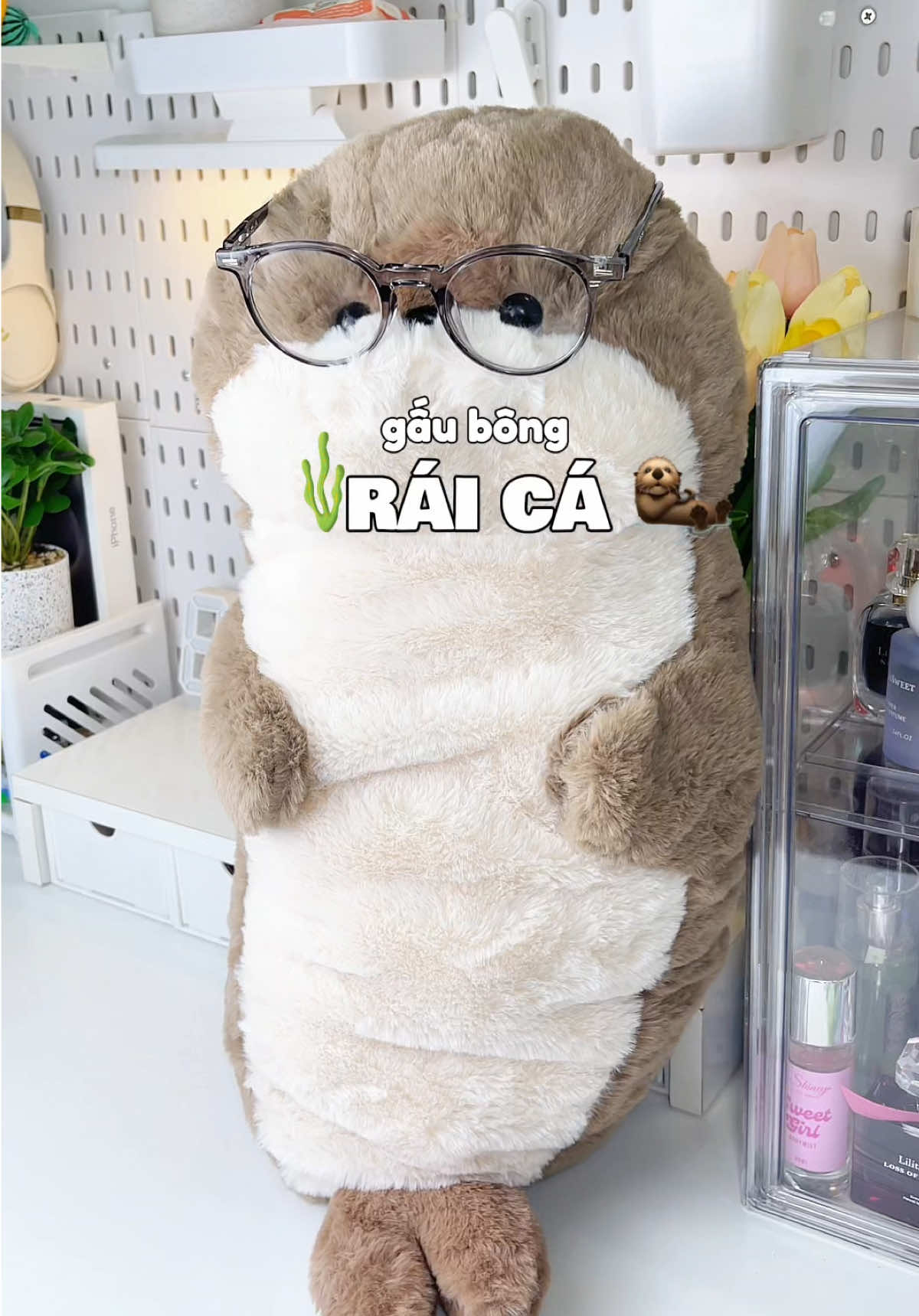 Gấu bông rái cá siu cute 🦦🪸 #raica #gaubongraica #gaubongquatang #gaubong #dethuong #cute #viral #xuhuong #foryou #trending #fyp #thaothichriviu #muataitiktokshop 