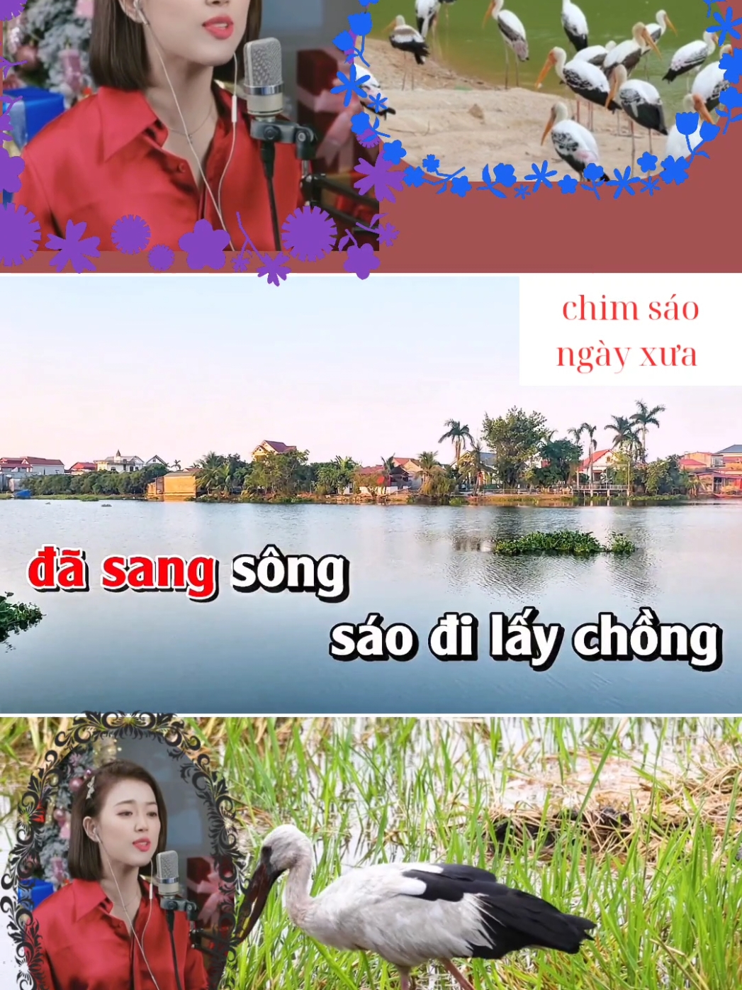 #@@gia bảo-85  # ai đem chim sáo... #tiktokgiaitri #nhacbuon #nghechuchot #nhachaymoingay #TikTokAwardsVN 