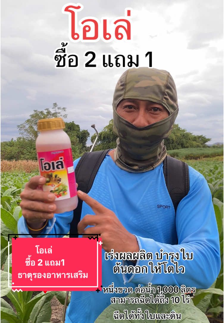 #โอเล่ธาตุอาหารรองสําหรับพืช #โอเล่ธาตุอาหารรองชนิดน้ํา #โอเล่#ธาตุอาหารรองเสริม #เกษตรกรรุ่นใหม่ #เกษตร #ธาตุรองเสริมสําหรับพืช #ซื้อ2แถม1