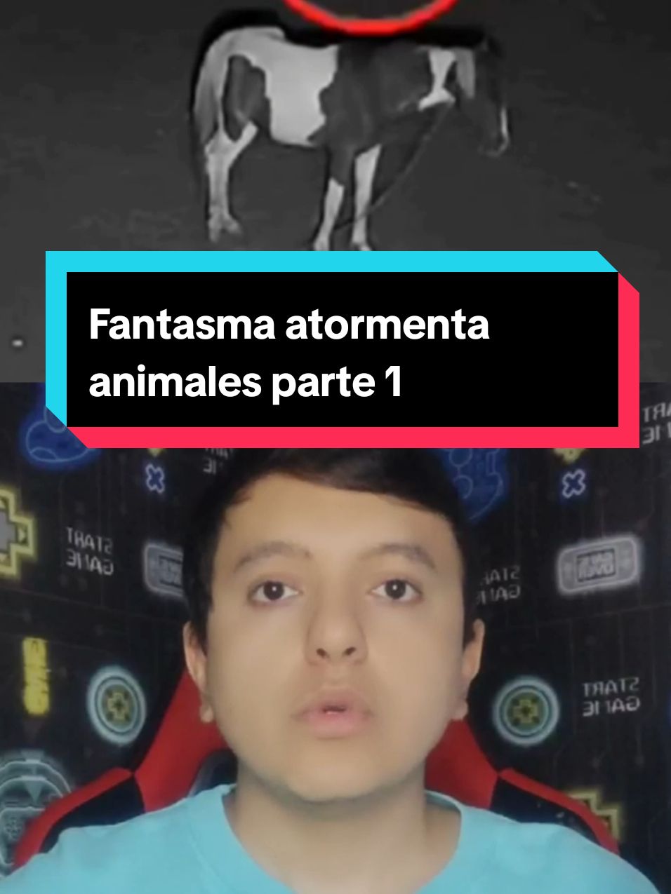 Fantasma atormenta animales parte 1 #scary #terror #historiasdetiktok #datosperturbadores #parati 