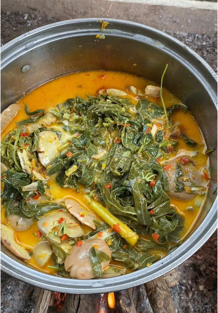 masak gulai jengkol campur daun singkong di pondok kebun hari ini #masakdipedesaan #masakdikampung #pondokbambu #cookinginthegarden #cooking #village #makandikebun #jengkol 