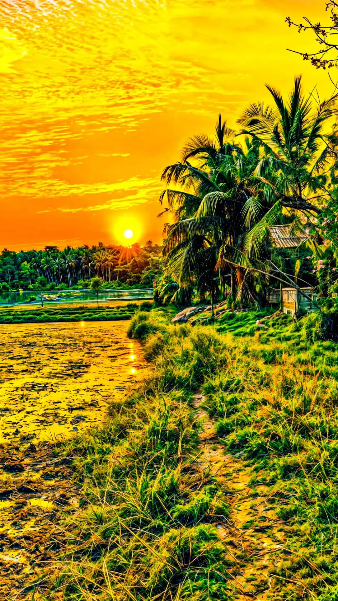 #ចម្រៀងខ្មែរ #សារិកាកែវ 🌾🌺#ទេសភាពស្រុកស្រែ🌄🏜️🌱🌼🌾🐟 