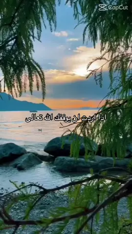 #اللهم_صلي_على_نبينا_محمد #التوبة_والرجوع_الى_الله #cupcut #الدنيا_علمتني #🇩🇿🇲🇦🇹🇳 #