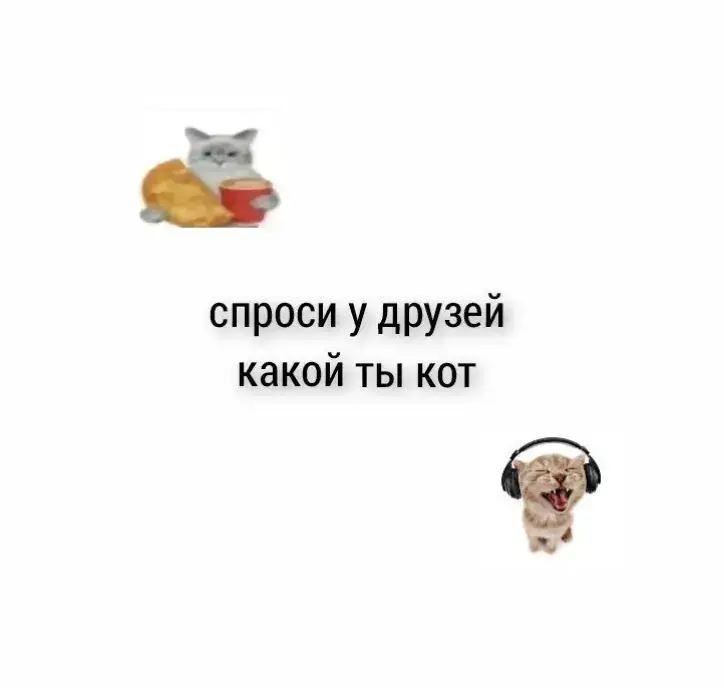 #fyp #on #fouryou #щп #щитпостинг #щитпост #рекомендации #fyppppppppppppppppppppppp #cat 