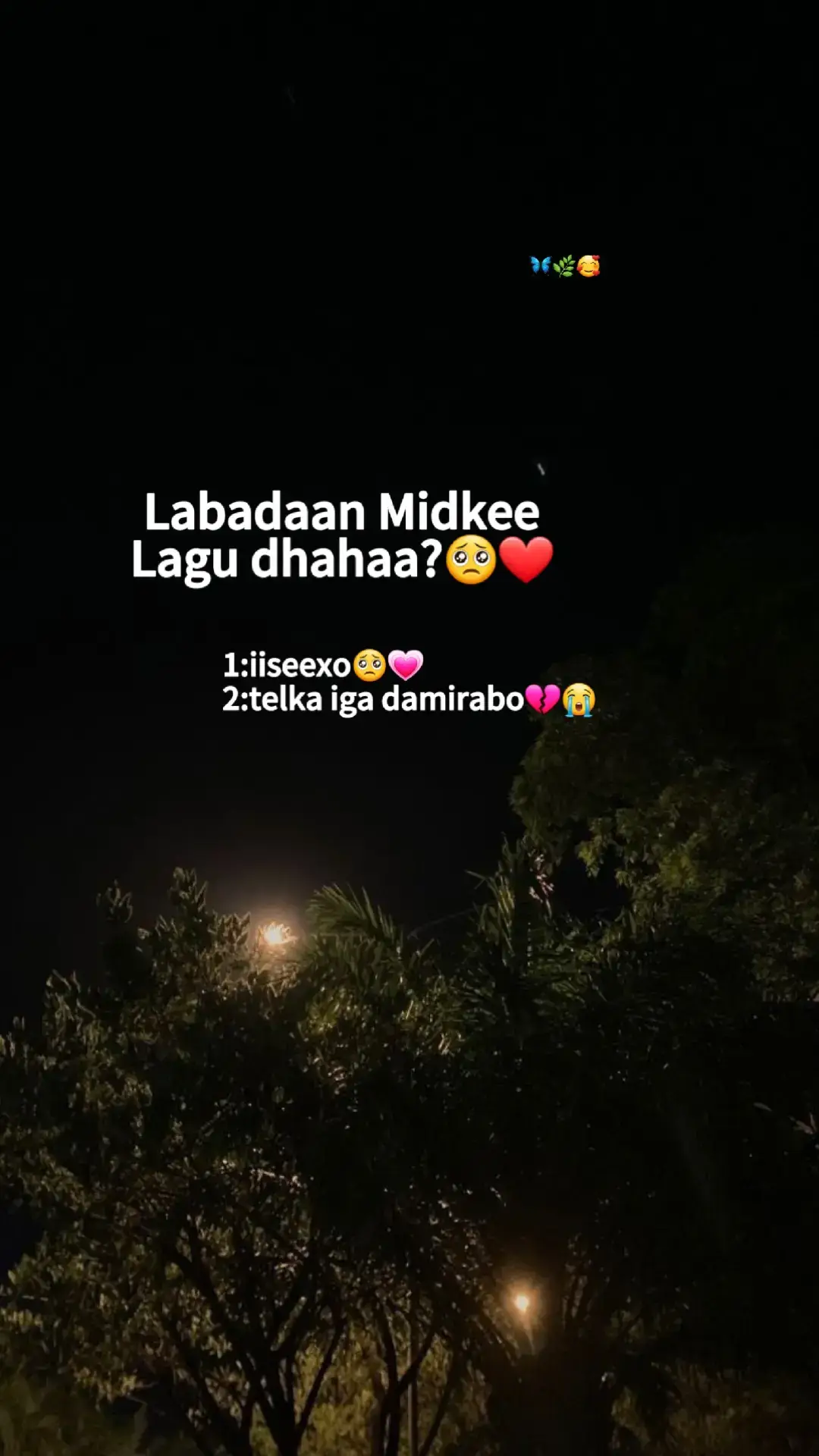 #suleimani288 #qali_jab💔 #viral #jawi_bila🌊❤🌴 #muqdisho_somalia🇸🇴 #fouyoupage #dhalinta_maanta🇸🇴 #veous #fouryourpage #vip #jawi_bile😎🌃🎸 #xayle_55 #qalbi_dajiye❤️🎧 #kgfchapter2 #awaaleadan #forever #kapuu #🦋 #